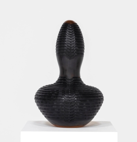 Iselwa by madoda Fani, 2025 Jingdezhen Awards