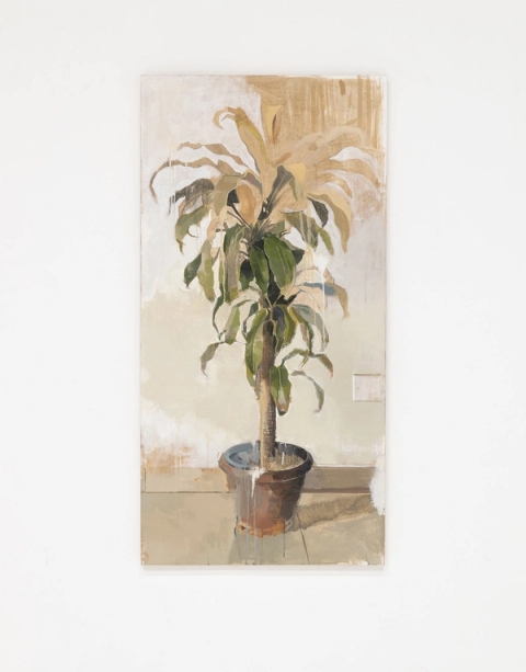 Still Life, Take One, 2024 - Ayotunde Ojo