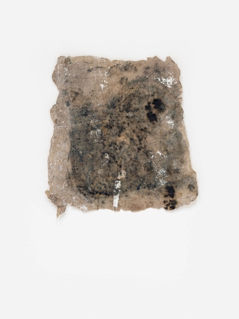 Alka’s Darkroom Floor, 2025 - Kamyar Bineshtarigh