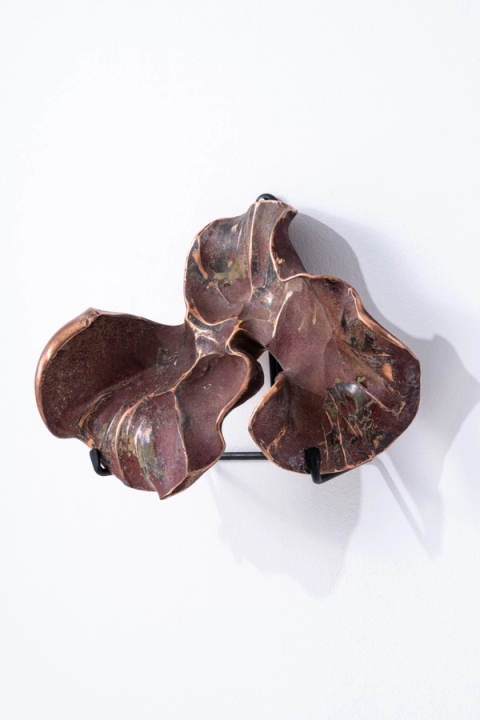 Conrad Hicks - Copper Study XIII, 2021