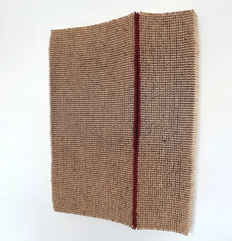 Usha Seejarim, A Deep Wound