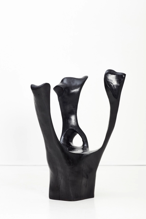 Adam Birch - Voodoo II, 2021