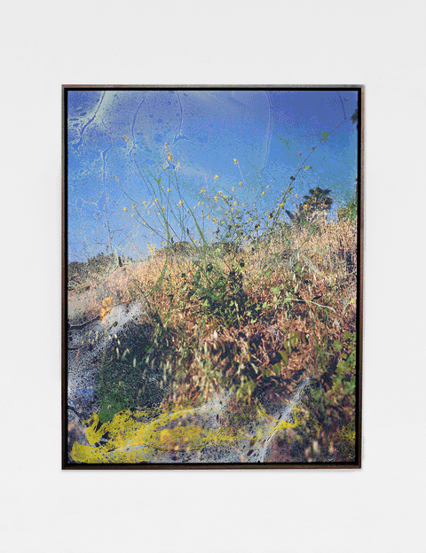 I Dreamt of Easier Times, 2025 - Shaniqwa Jarvis