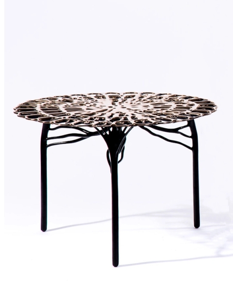 Tropism Mensa Humilis, 2018 - Charles Haupt