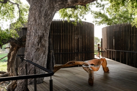 Adam Birch transforms fallen trees into extensive collection of furniture for Xigera