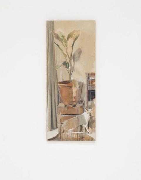 Cofee, 2024 - Ayotunde Ojo