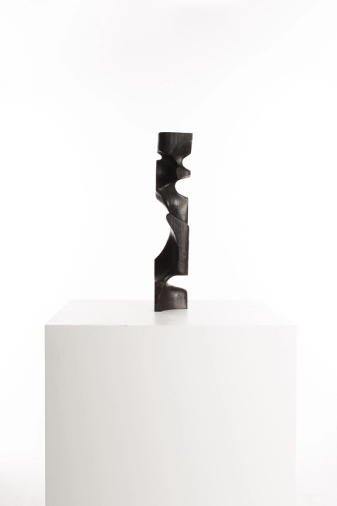 Driaan Claassen - Wooden Cuboid.005, 2020