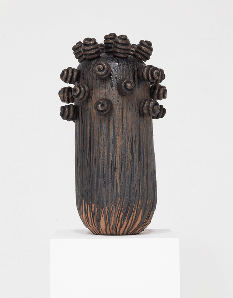 Zizipho Poswa 2025 - Zizipho Poswa