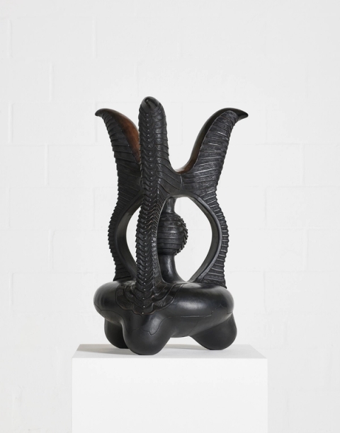 Madoda Fani - Primus Stove, 2024