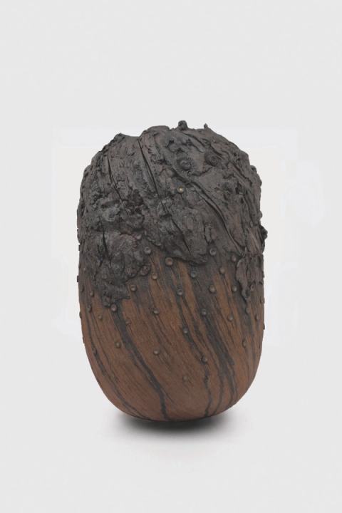 Andile Dyalvane - Cornish Waterfall, 2019