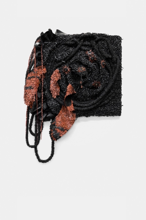 Patrick Bongoy - Plumage, 2022