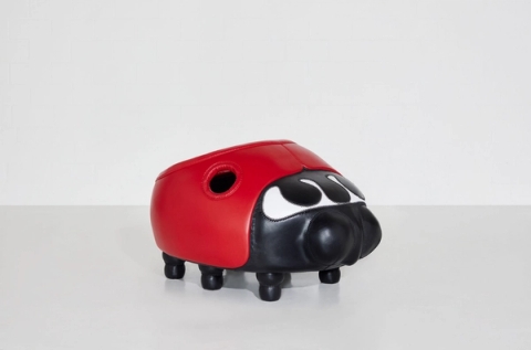 My first beetle, 2024 - Porky Hefer