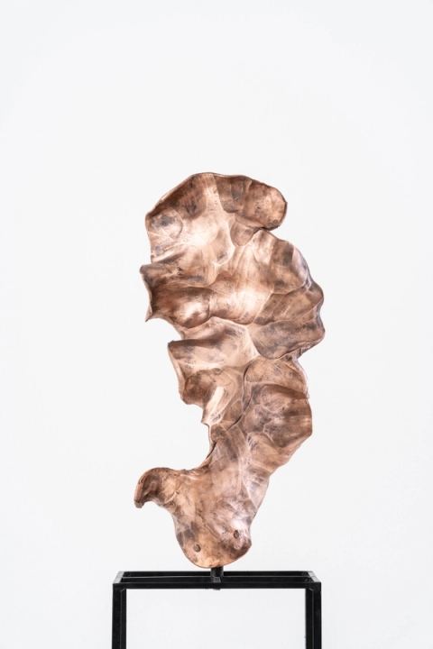 Conrad Hicks - Copper Study VII, 2021