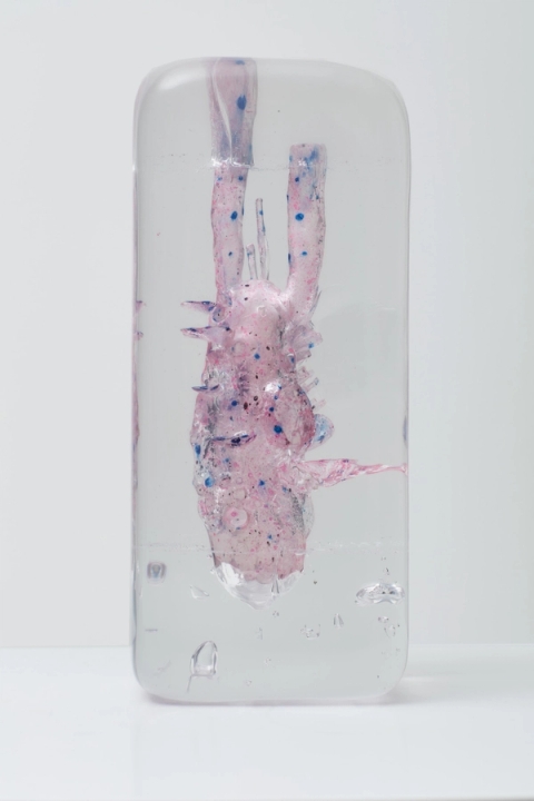 Stanislaw Trzebinski - Pulchellus Pelagicus (juv.) (Stovepipe Sea Heart) – Resin, 2019