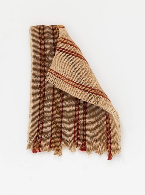 Skroplap, 2024 - Usha Seejarim