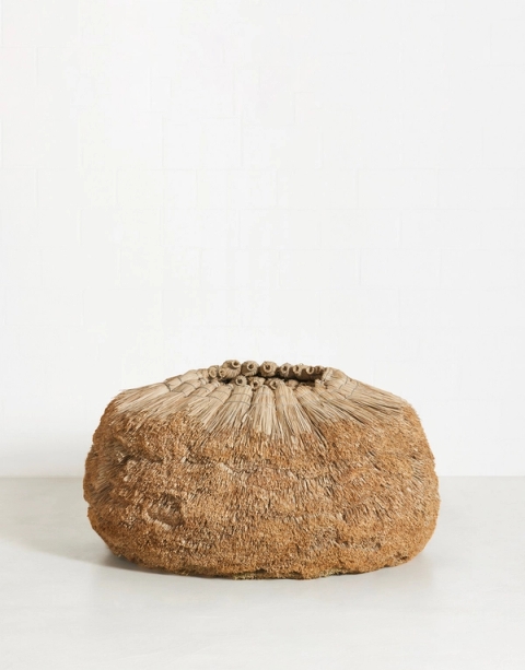 Receptacle, 2022 - Usha Seejarim