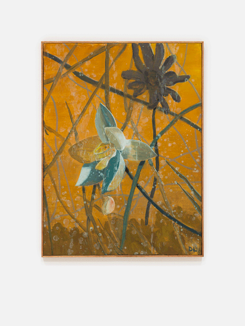 Wildflowers, 2025 - Daniel Levi