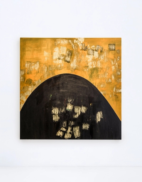 Nandipha Mntambo - Moonlit Shadows XI, 2017