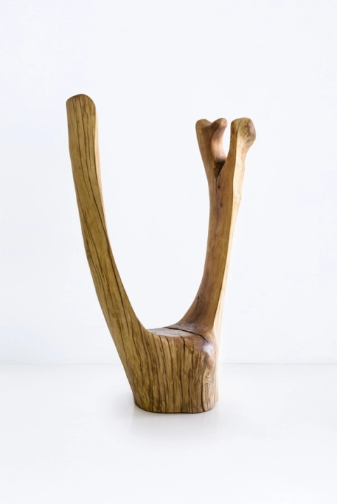 Adam Birch - Revenge, 2020