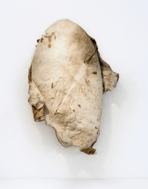 Veiled Desires II, 2017 - Nandipha Mntambo