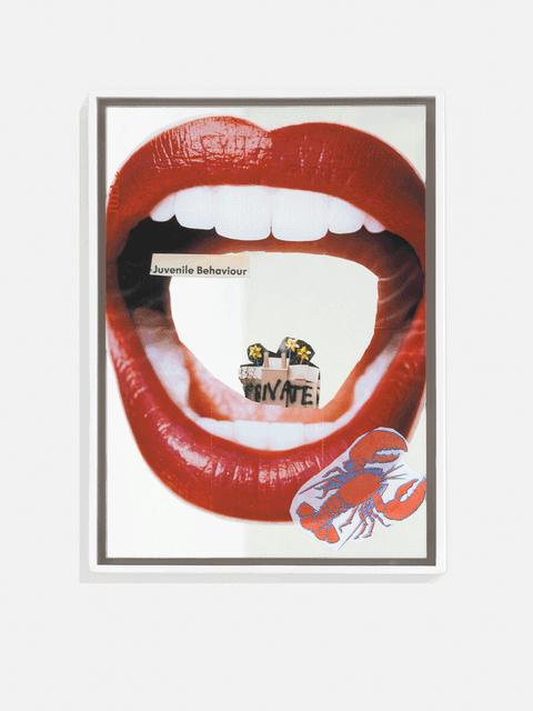 Juvenile Behaviour, 2026 - Jozua Gerrard