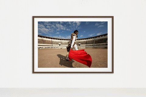 Praça de Touros VI, 2008 - Nandipha Mntambo