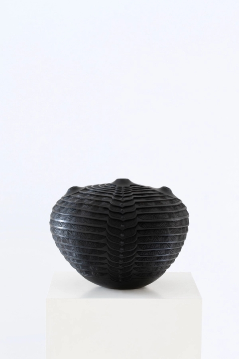 Madoda Fani - Isiduli II (The Anthill), 2021