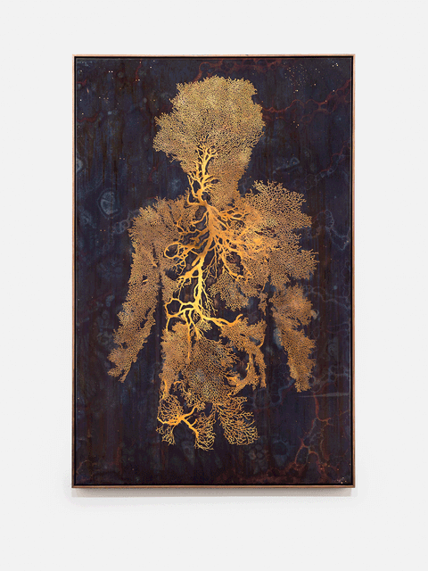 Tidal Archive XIV, 2026 - Stanislaw Trzebinski