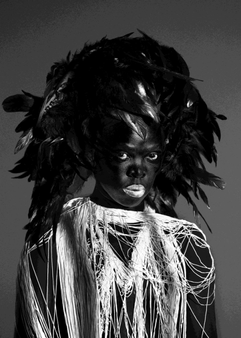 Zimpaphe l, Parktown - Wallpaper, 2019