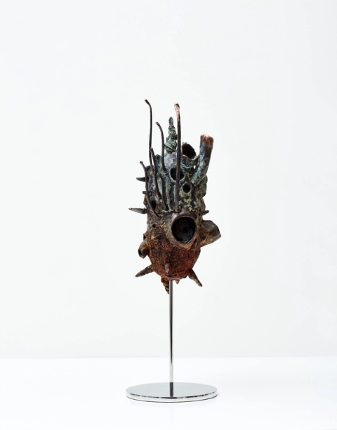 Stanislaw Trzebinski - Pulchellus Pelagicus (juv.) (Rufous Sea Heart), 2019