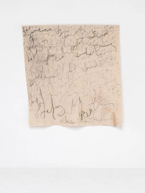 Ka maboteng a Knowledge, 2024 - Mankebe Seakgoe