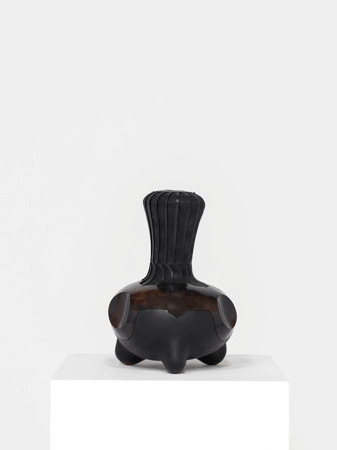 Zinzile (Firmly Rooted), 2025 - Madoda Fani