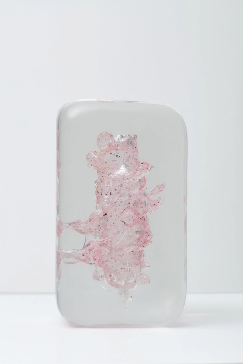 Stanislaw Trzebinski - Pulchellus Pelagicus (juv.) (Thorny Sea Heart) – Resin, 2019