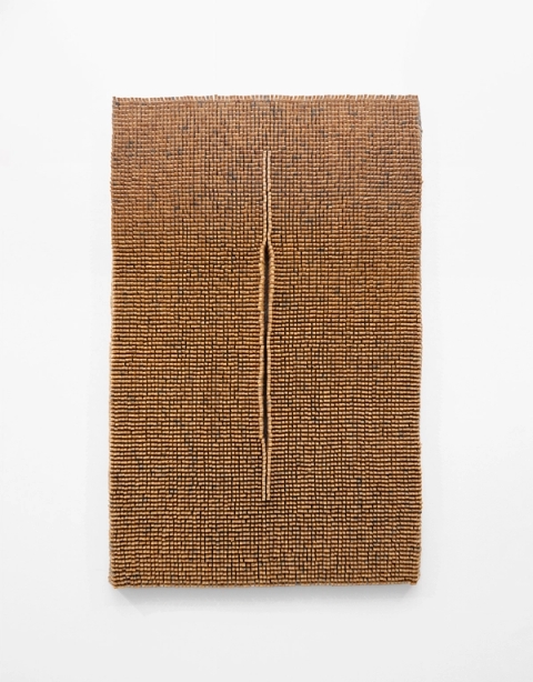 Crevice, 2021 - Usha Seejarim