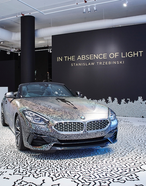 Stanislaw Trzebinski covers the BMW Z4 Roadster in living pattern