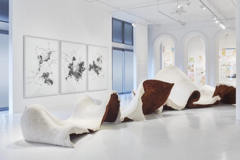 Christine Jacobs - Enfold