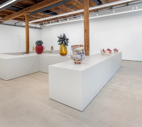 Zizipho Poswa in ‘Terra Recognita’ at Mariane Ibrahim in Chicago