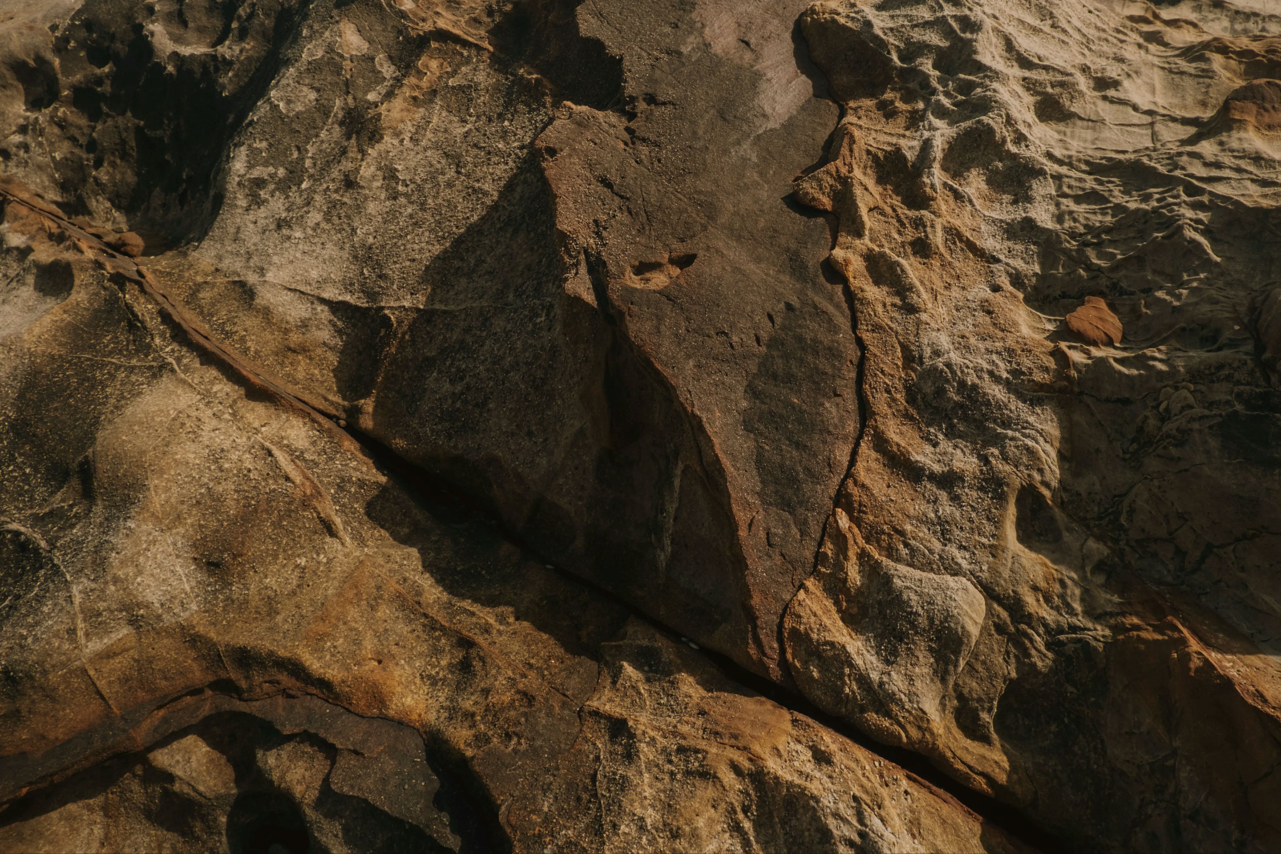 Environmental landscape