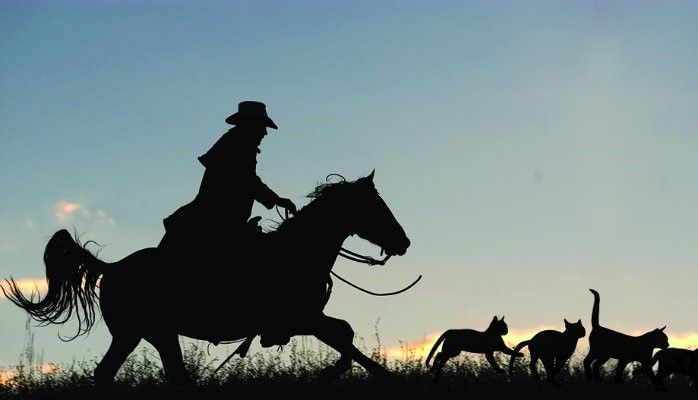 cowboy