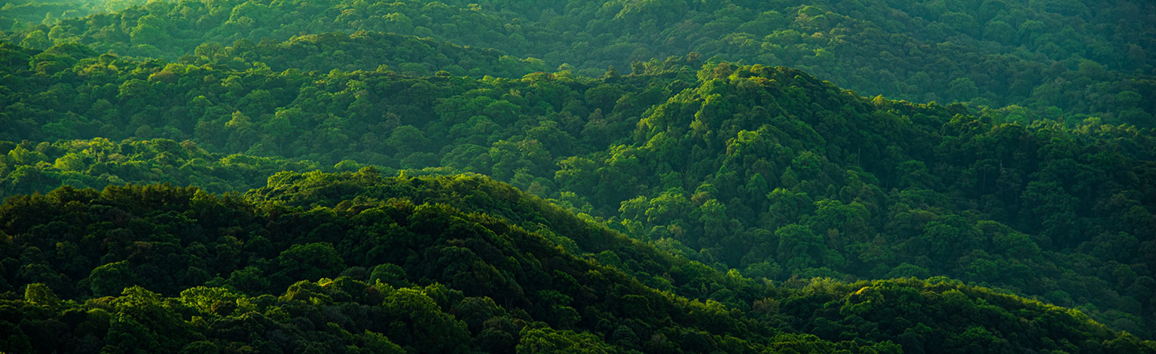 Monthly financial reporting template for board of directors’ meeting