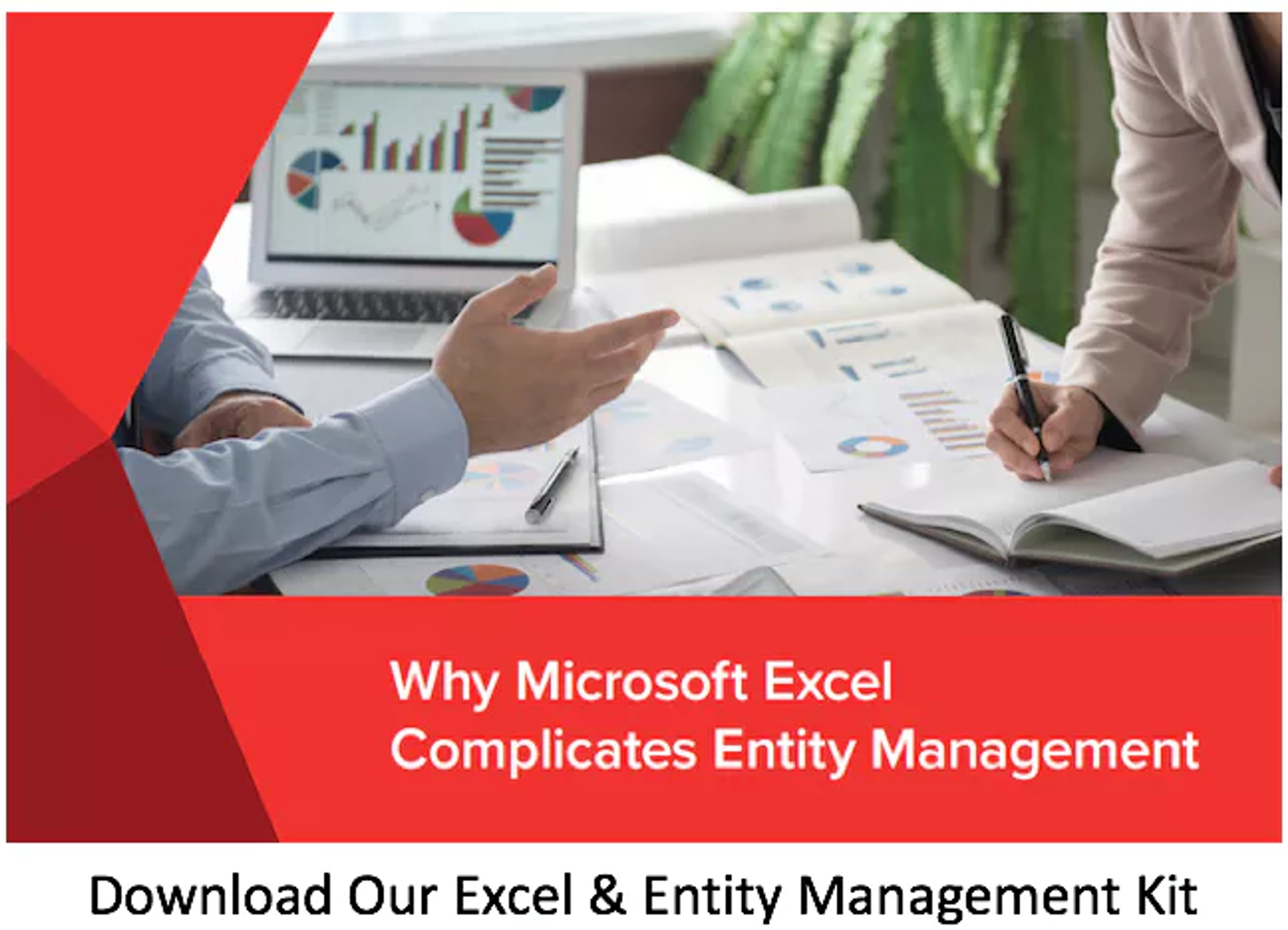 Ad reading "why Microsoft Excel complicates entity management. Download our excel and entity management kit"