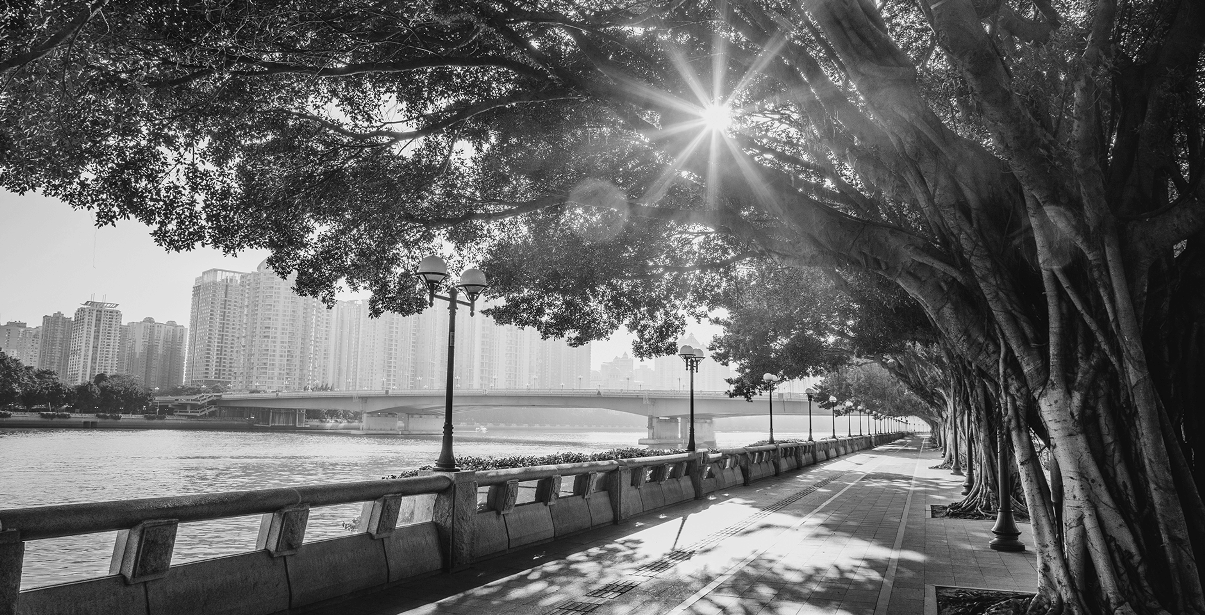 Diligent Institute and Spencer Stuart's second annual survey of corporate directors on ESG board oversight and strategy.