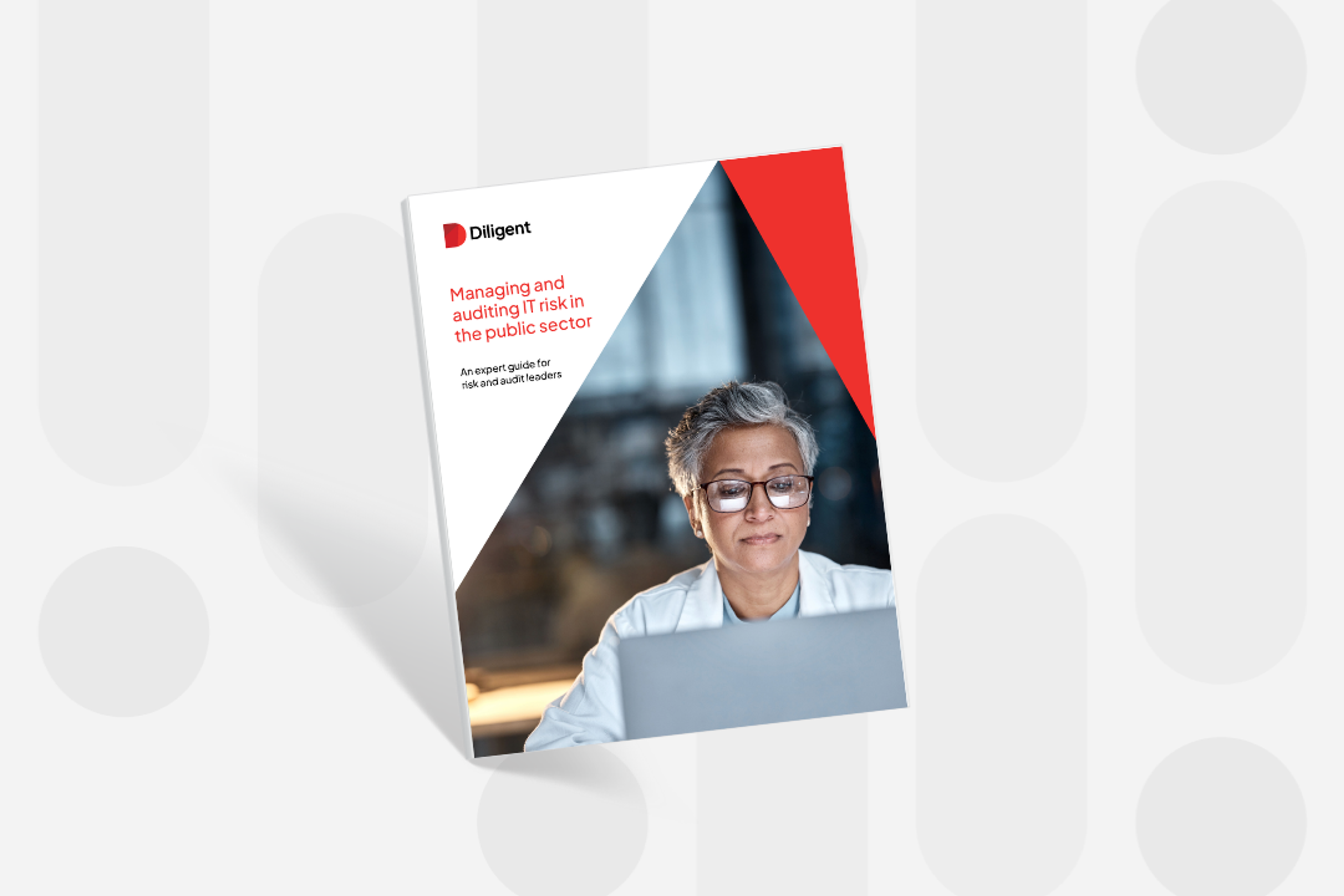 Managing and auditing IT risk in the public sector