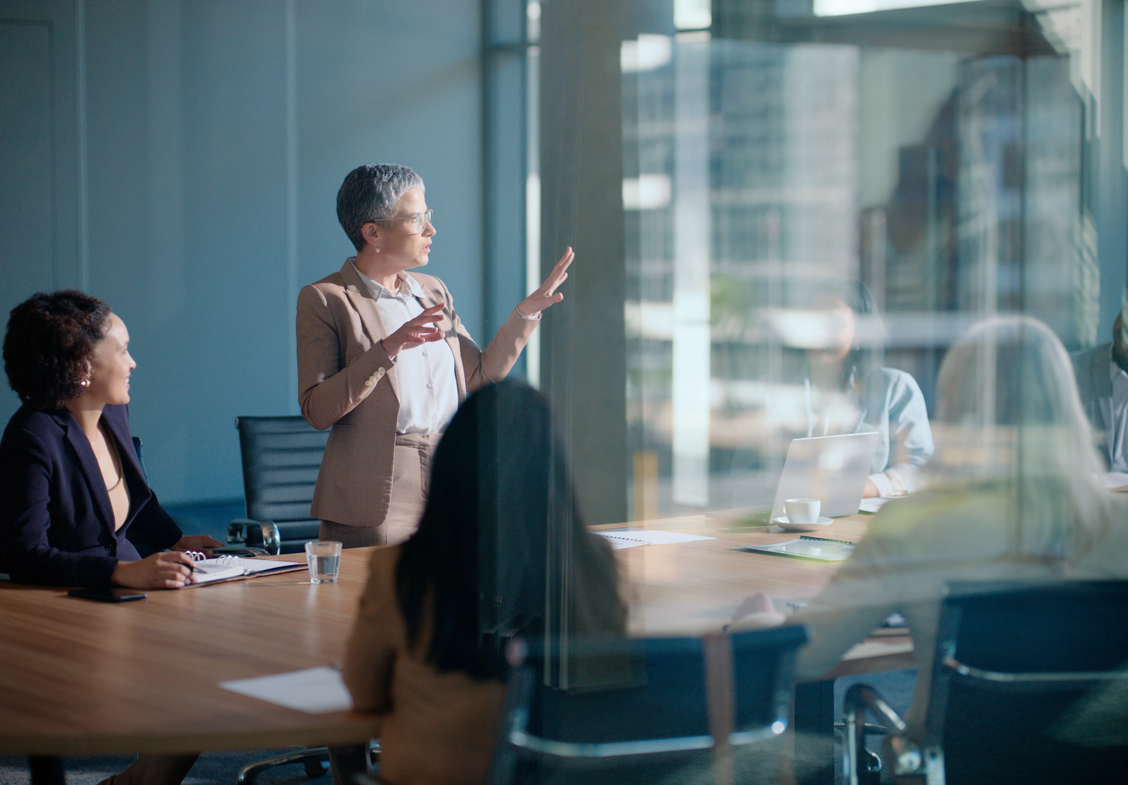 CEO making presentation to the Board