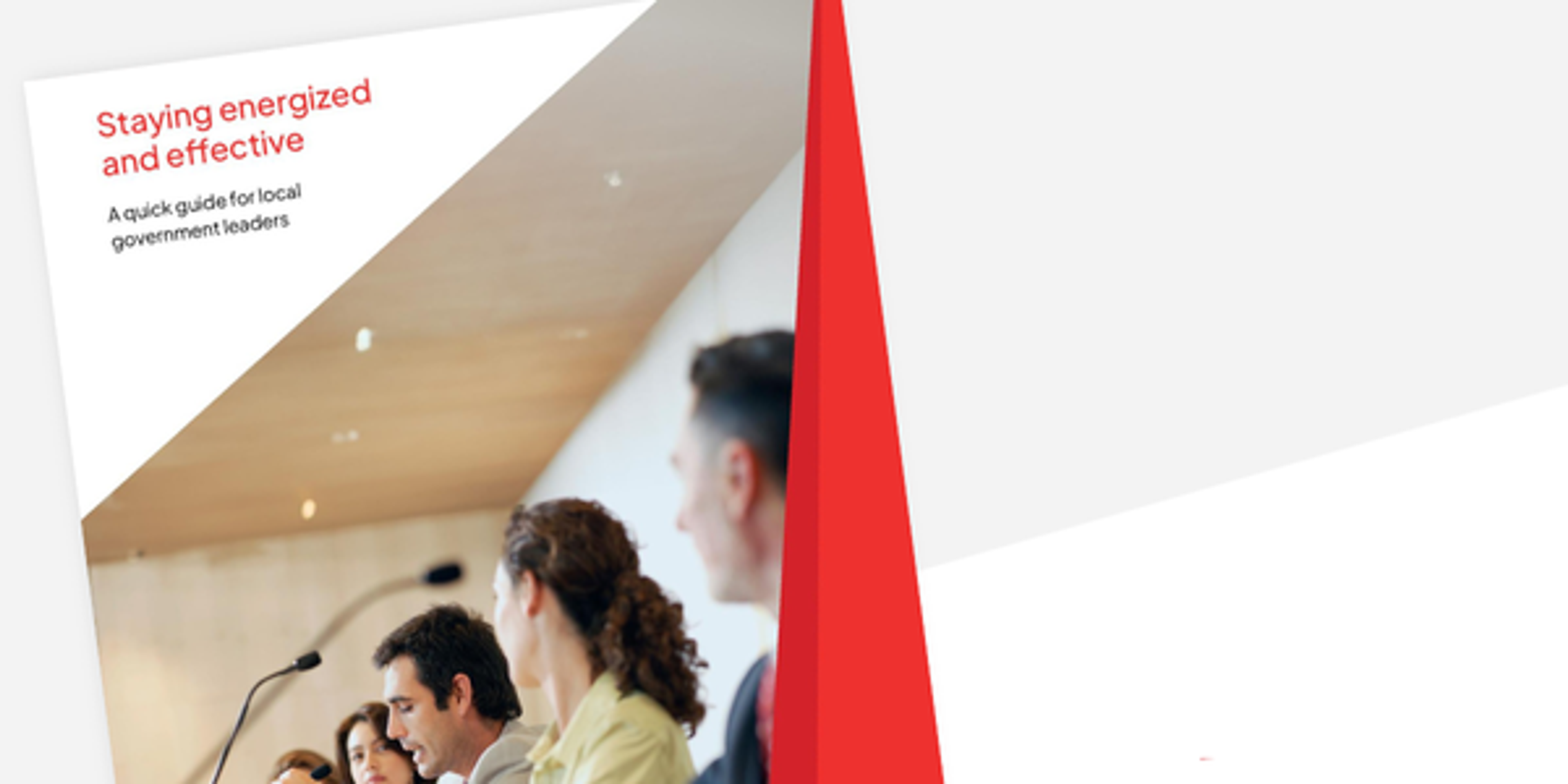 a guide for local government leaders