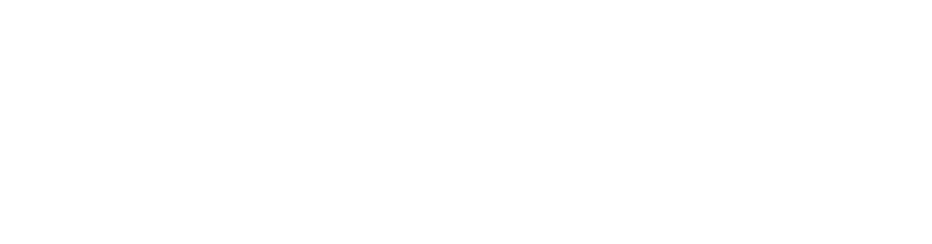 The Institute of Internal Auditors