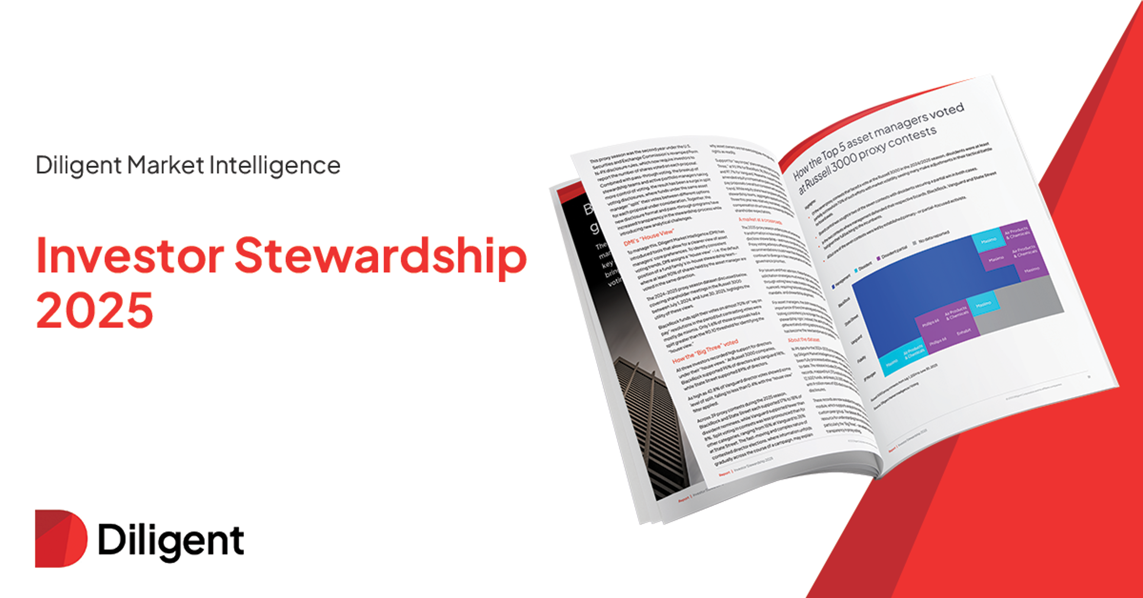 Cover Image for Investor Stewardship 2025