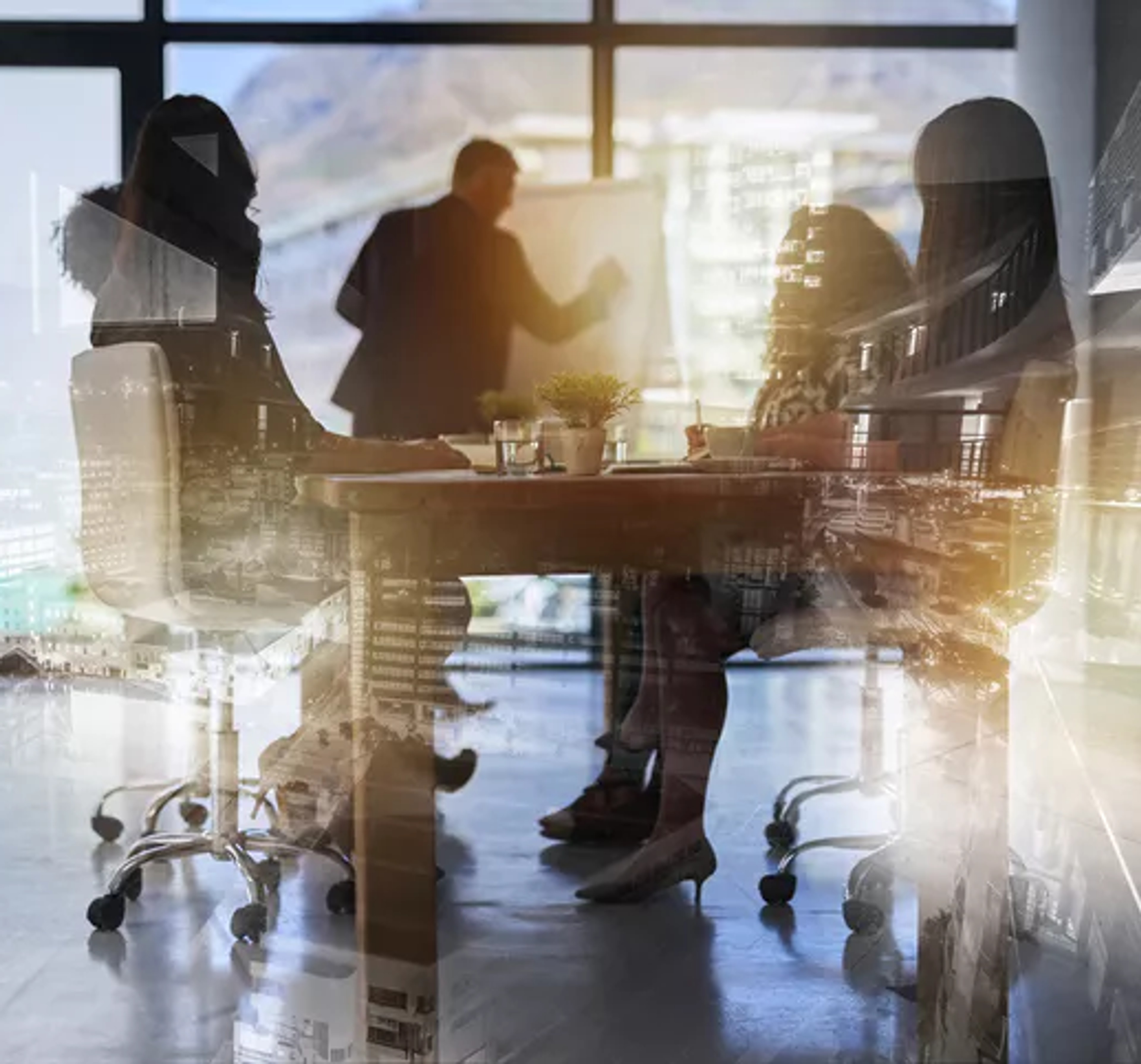 What is the role of the executive committee?