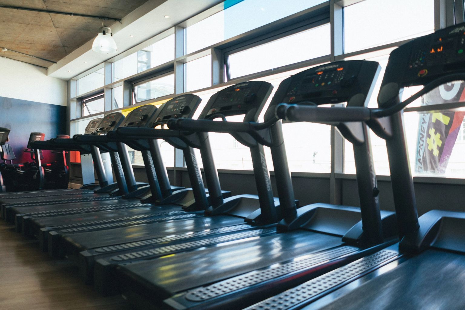 A row of treadmills facing the windows in the cardio zone