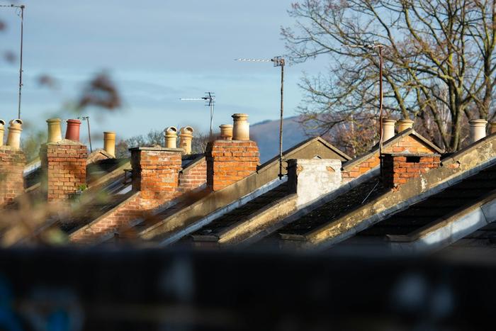 A row of brick chimney stacks with clay pots on terraced house roofs in low sunlight.